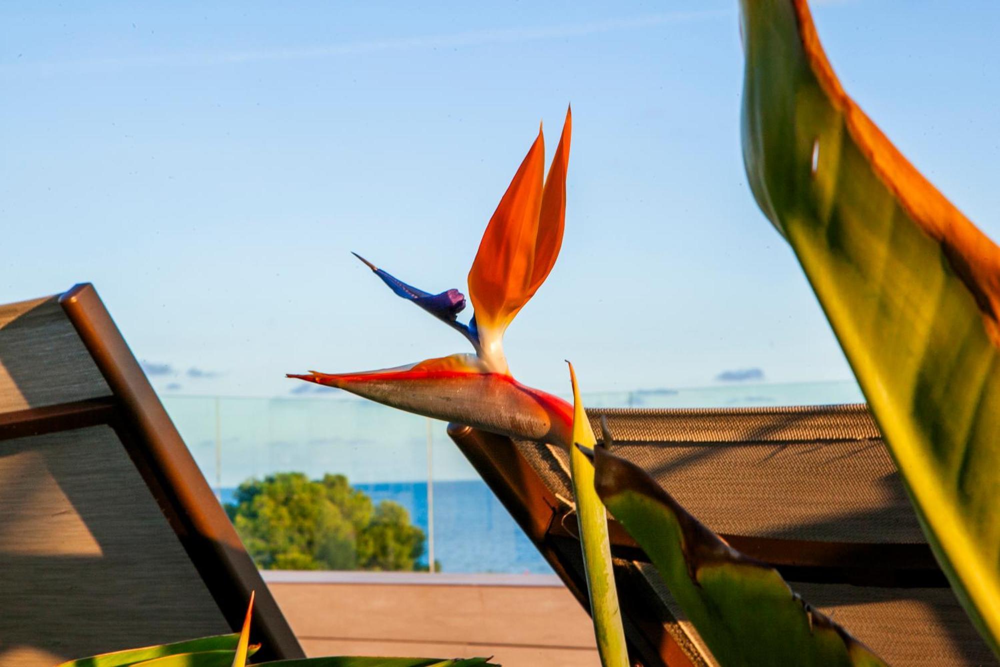 Albades Hotel & Spa (Adults Only) Benicàssim Exterior foto